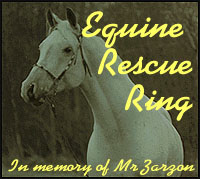 Equine Rescue Stories